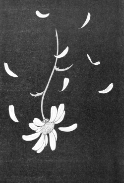 Page 126 of Burgess no Otome-tachi Waiwakushia no Shou