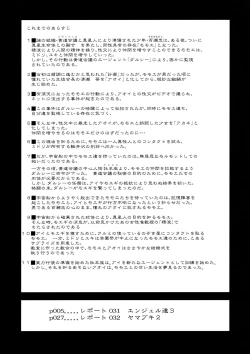 Page 3 of Dulce Report 12