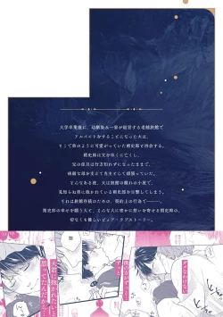 Page 186 of 沉溺的良夜与赫尔墨斯