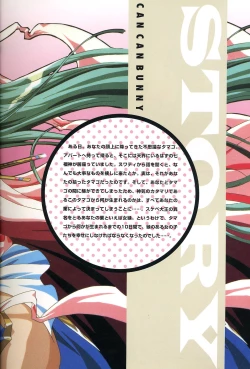 Page 4 of きゃんきゃんバニー プルミエール２攻略&設定資料集