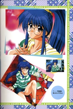 Page 8 of きゃんきゃんバニー プルミエール２攻略&設定資料集