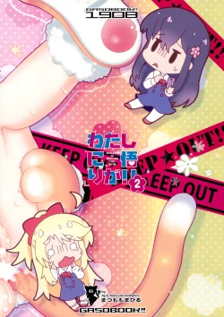 Page 17 of Watashi ni Shou-go Loli ga!! 2