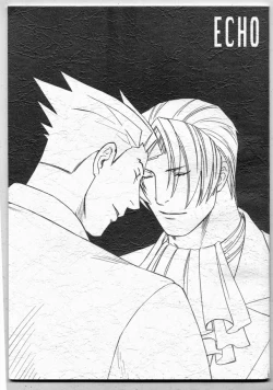 Page 1 of Ace Attorney DJ - ECHO