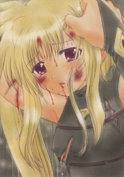 Page 10 of Nanoha no Zettai Zetsumei Special 2