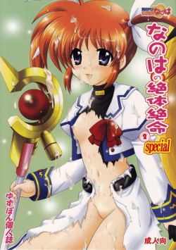 Page 1 of Nanoha no Zettai Zetsumei Special 2