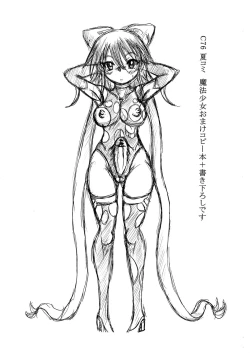 Page 2 of Namanekotei - Mahou Shojou Ai and Sailormoon