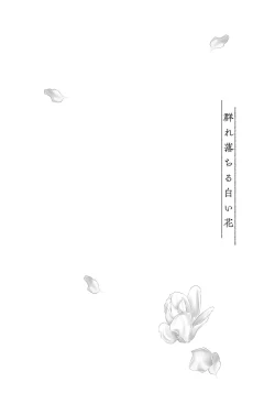Page 30 of White flowers falling in clusters