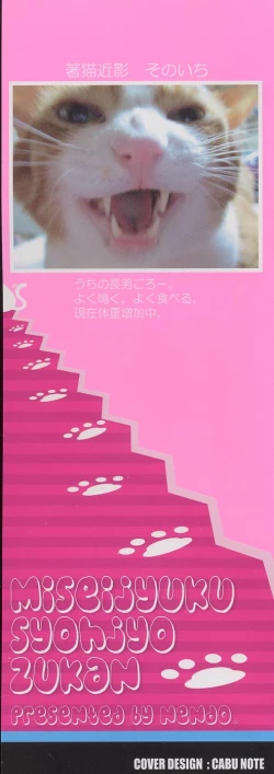 Page 3 of Miseijuku Shoujo Zukan