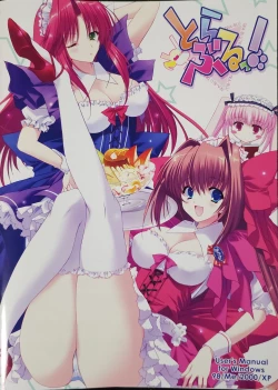 Page 10 of とらぶるっ！ Boxart and Manual