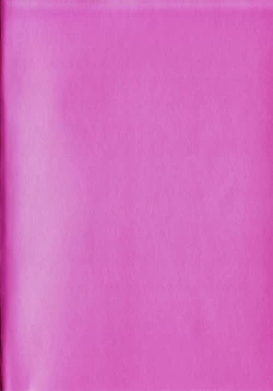 Page 6 of Hisae Haitoku Nikki Kanzenban Jou