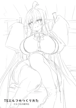 Page 2 of TS Elf no Tsukurikata Elf-ka no Kusuri Gaiden