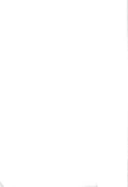 Page 163 of Inazuma Warrior 3