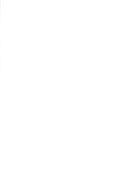 Page 25 of Ichibanboshi o Mitsukete | 我见到的第一颗星