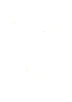 Page 2 of NAGOYASTYLE 001