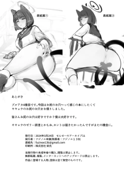 Page 27 of Kikyou no Shiriana