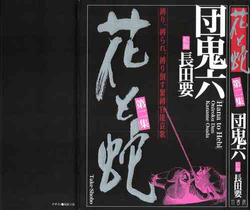 Download Hana to Hebi 2