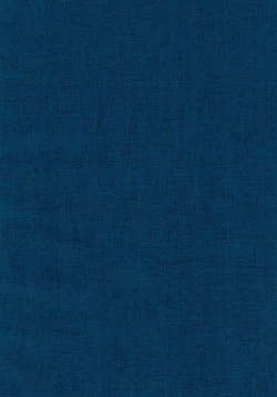 Page 4 of Tousaku Romance