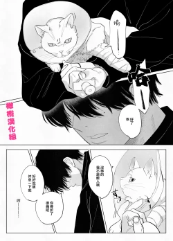 Page 6 of bake neko to mibōjin｜猫与未亡人