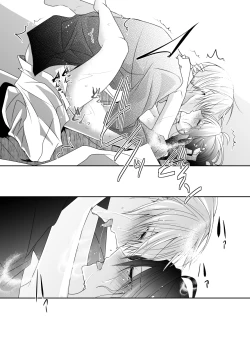 Page 17 of 'Kikkou Sadamune ni Shikotama Biyaku o Motta Hon.'