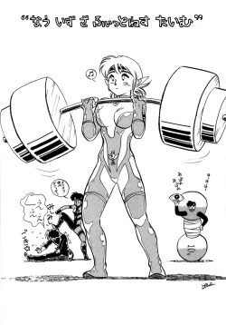 Page 17 of Halopack 4.5