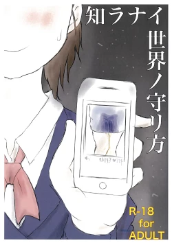 Page 1 of How to Breach the Unknown