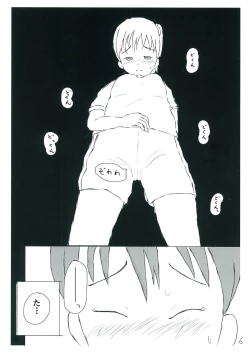 Page 6 of How to Breach the Unknown