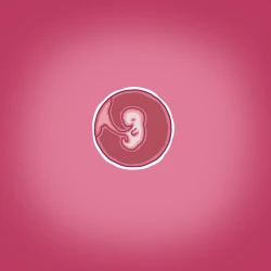 Page 5 of Yumi's Study Abroad/由美的留学生活（汉化）（连载中）