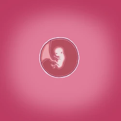 Page 38 of Yumi's Study Abroad/由美的留学生活（汉化）（连载中）