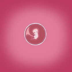 Page 22 of Yumi's Study Abroad/由美的留学生活（汉化）（连载中）