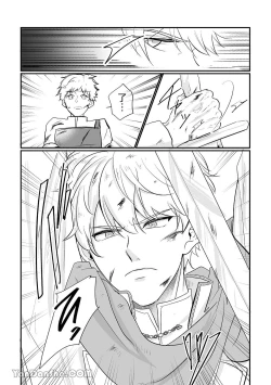 Page 6 of Knight Commander SeriesKnight Commander's efforts