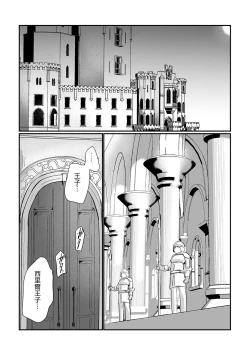 Page 8 of Knight Commander SeriesKnight Commander's efforts