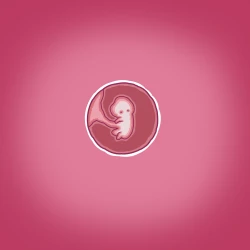 Page 25 of Yumi's Study Abroad/由美的留学生活（汉化）（连载中）