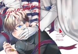 Page 1 of segmentation