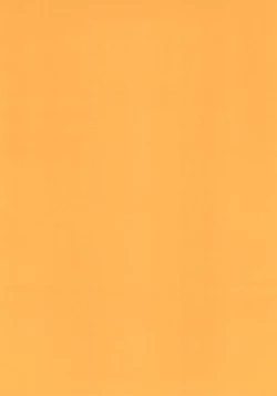 Page 4 of "Naisho" tte koto. REMIX