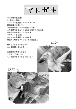 Page 218 of Sei Shoudou