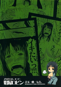 Page 26 of Metabolism-OP Kyonyuu Kyoshiri Shoufu Nico Robin no Keshi Taikako