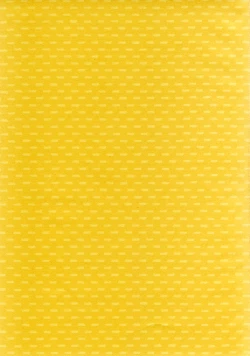 Page 3 of Hanikamu Hachinosu