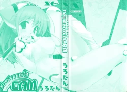 Page 4 of Newmanoid CAM