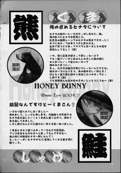 Page 2 of Honey Bunny
