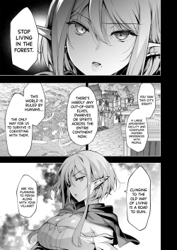 Page 16 of Elf ni Inmon o Tsukeru Hon LEVEL:7