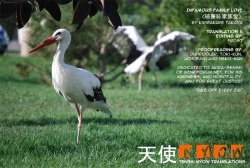 Page 2 of Infamous Family Love