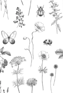 Page 3 of Doku o Kurawaba Sara made.