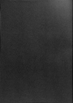 Page 31 of Sumireko-chan no Chitsunai ni Gokiburi o Ireru Hon