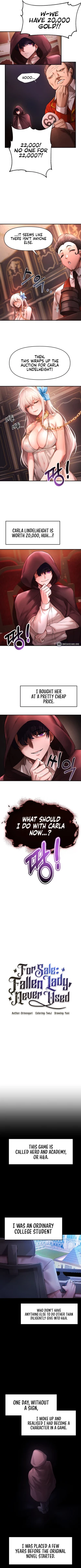 Page 4 of For Sale: Fallen Lady, Never Used