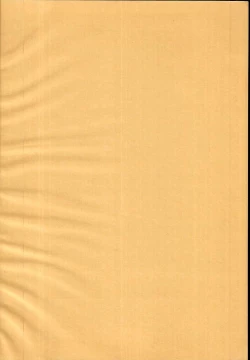 Page 4 of stage isyou no mamade iinde oppai misetekudasai