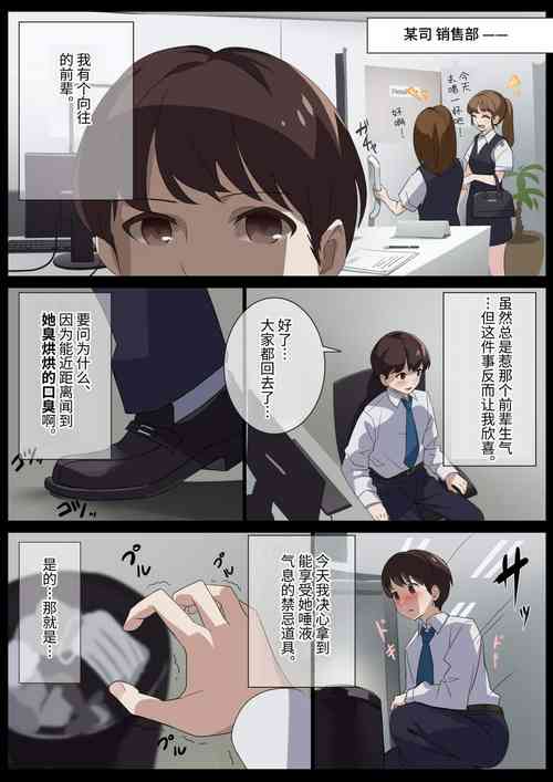 Download Birei sama no tsuba seme