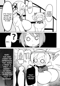 Page 4 of Mami-san dake Haete nai Series