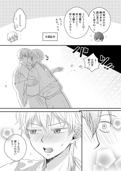 Page 23 of エッチな鶴丸は好きですか