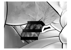 Page 72 of Kousai Bare, Koubu Zaseki de Netorare Choukyou