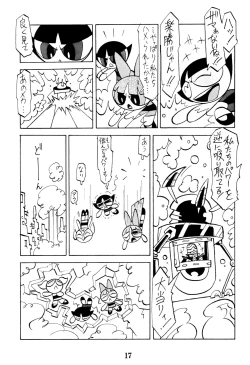 Page 19 of PPG FLASH!